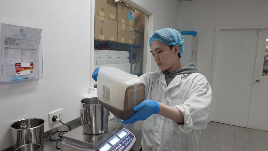Operator in gloves pouring raw material from a jug into a steel pot on a scale